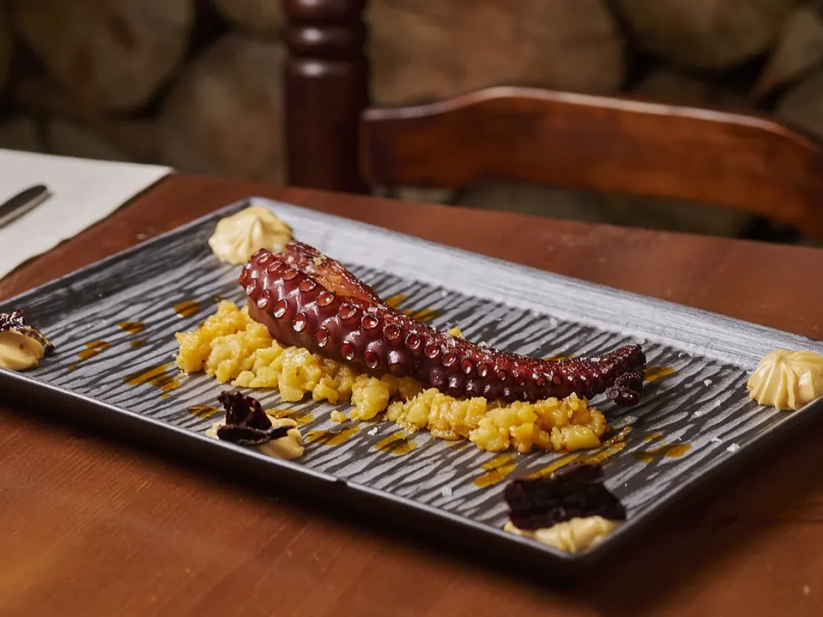 pulpo el mirador de la mancha DSC